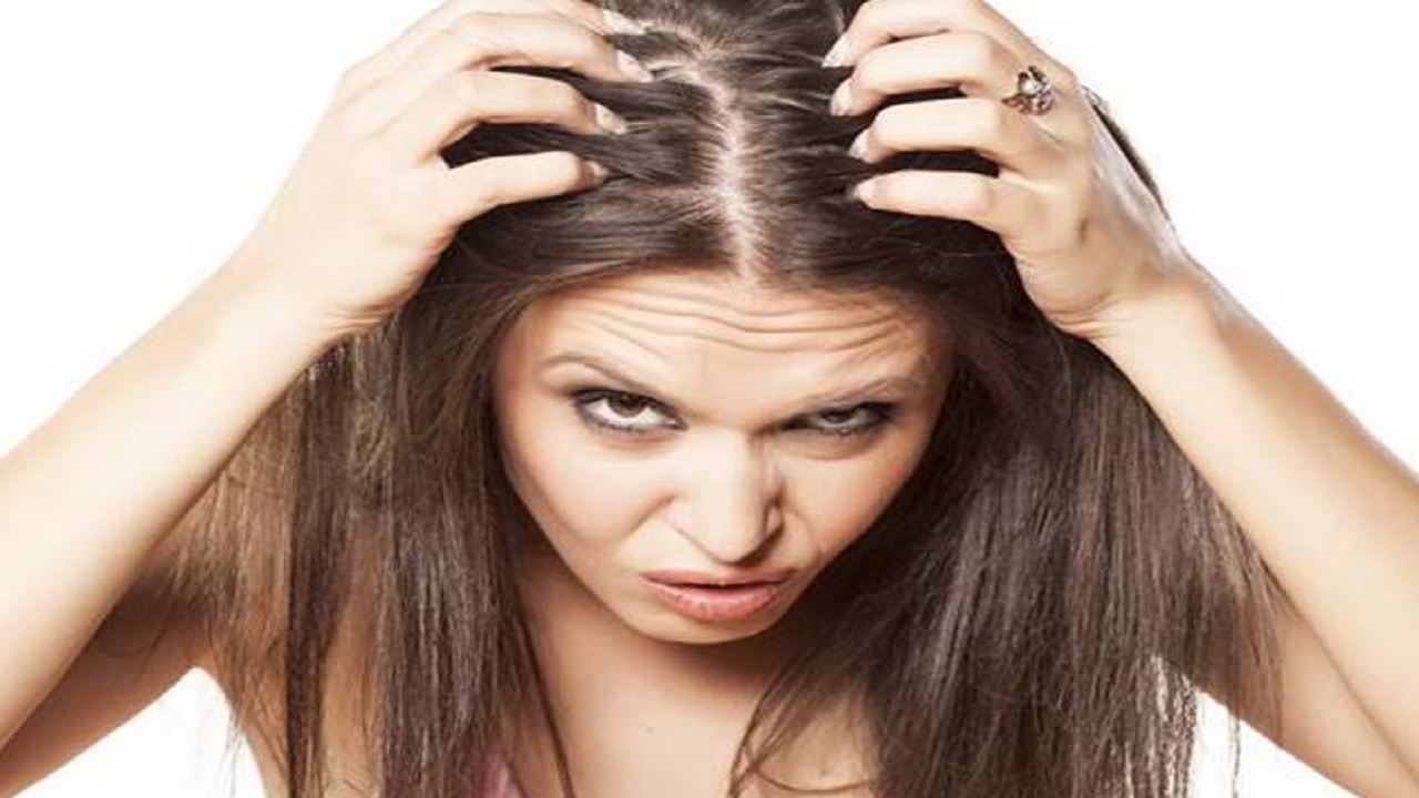 अगर सिर में खुजली से हैं परेशान तो अपनाएं ये उपाय, मिलेगा छुटकारा Hair Care  tips Home remedies for an itchy scalp in winter - News Nation