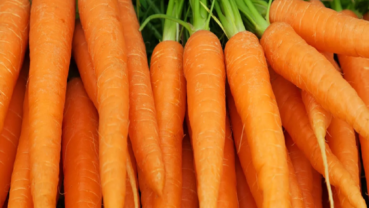 Морковь. Железо в моркови. Сколько бета каротина в моркови.