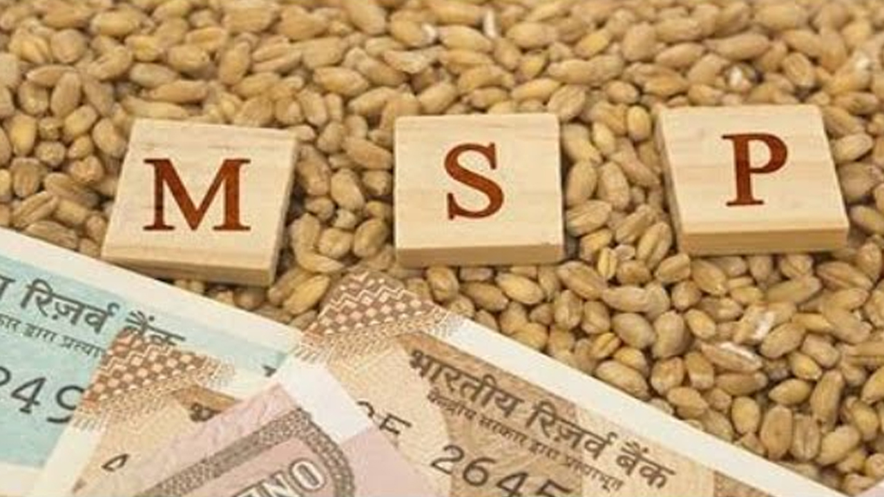 What Is MSP-Minimum Support Price, Know Which Crops Are Getting MSP, How Is  It Beneficial For Farmers, Read Full Report-जानिए किन फसलों पर मिल रही है  MSP, किसानों के लिए कैसे है