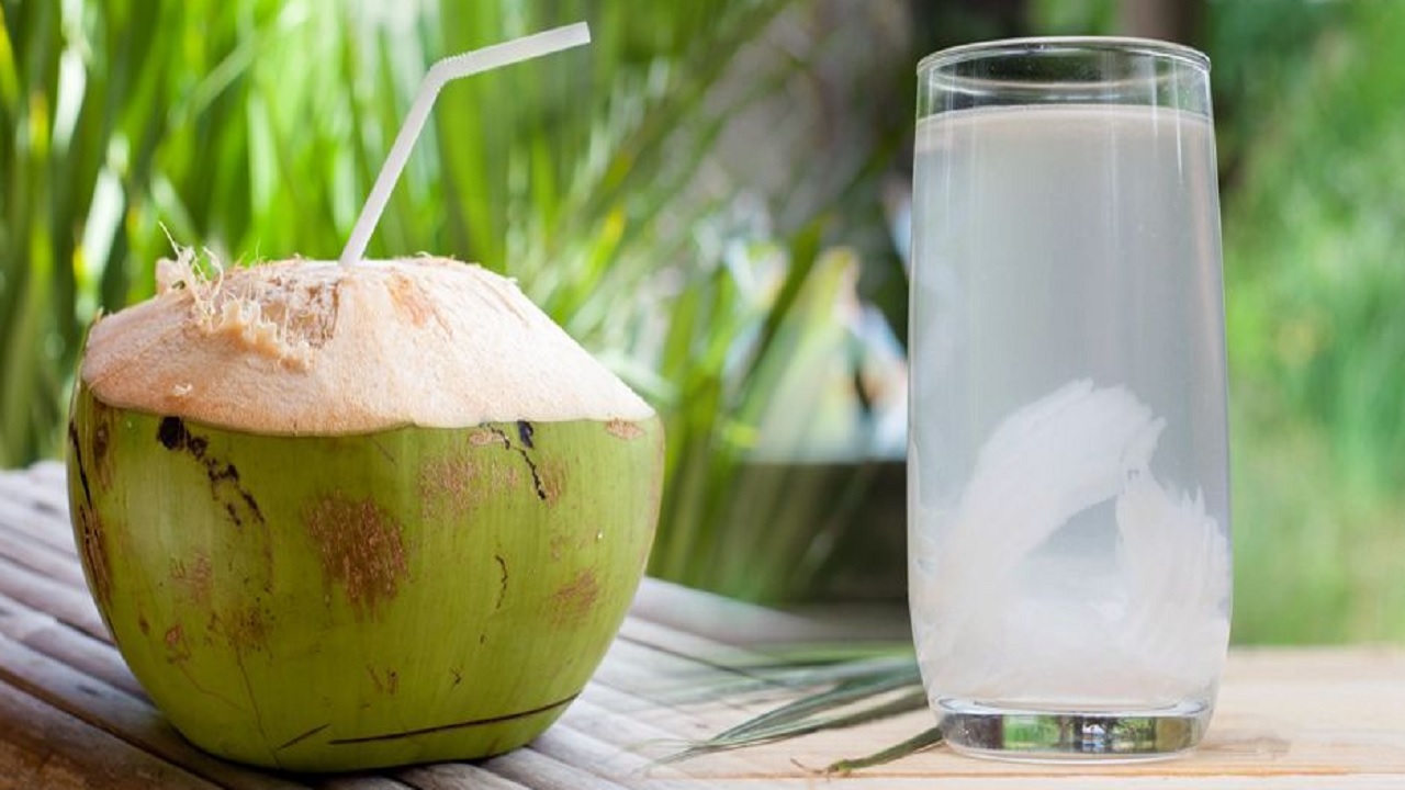 नारियल पानी के है अनेक फायदे, बालों और स्किन से जुड़ी समस्या होगी दूर Skin Care Tips Benefits Of Coconut water home remedies for hair and skin - News Nation